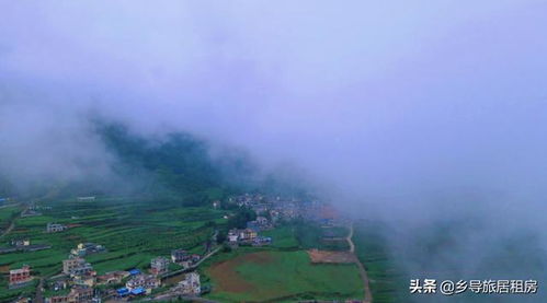 六盤水草原下的美麗村莊,住在19 的天然空調(diào)里,你想來避暑嗎