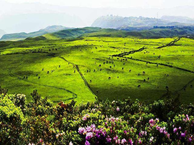 涼都六盤水,詩意大草原‖子昀:《烏蒙大草原,令人向往的地方》