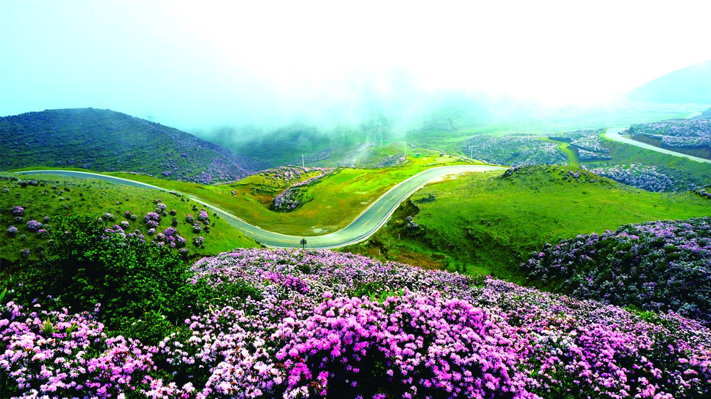 【涼都尋美】六盤(pán)水清明踏青攻略!猛戳這里