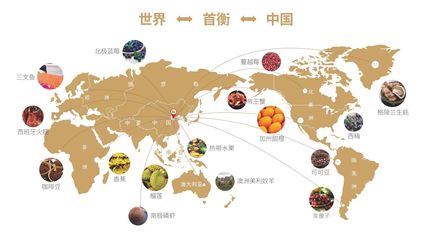 枝葉關(guān)情暖民生，首衡城聚貿(mào)易興——孝南區(qū)第二屆網(wǎng)評大賽東湖評論