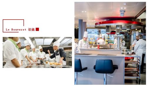 瑞士酒店管理大學CAAS碩士課程解析 酒店管理的卓越之路